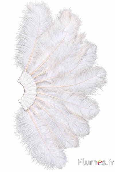 Waaier van struisvogelveren - ca. 60 cm, 10 veren, wit leer - creme natuurlijk
